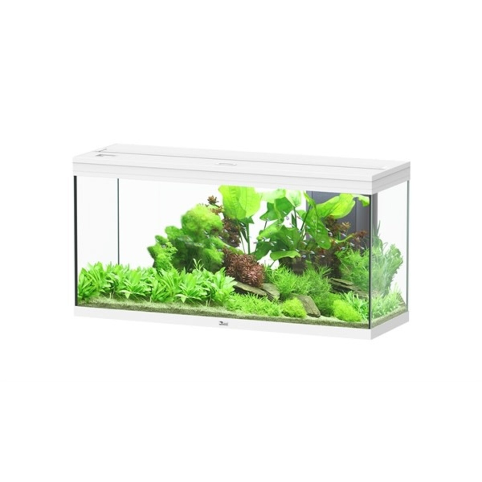 Aquatlantis Aquarium splendid 120 biobox wit-025