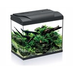 HS Aqua Aquarium platy 30 LED zwart 39x22x36 cm