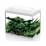 HS Aqua Aquarium platy 30 LED wit 39x22x36 cm