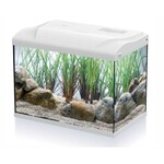 HS Aqua Aquarium coldy 20 LED wit 39x22x30 cm