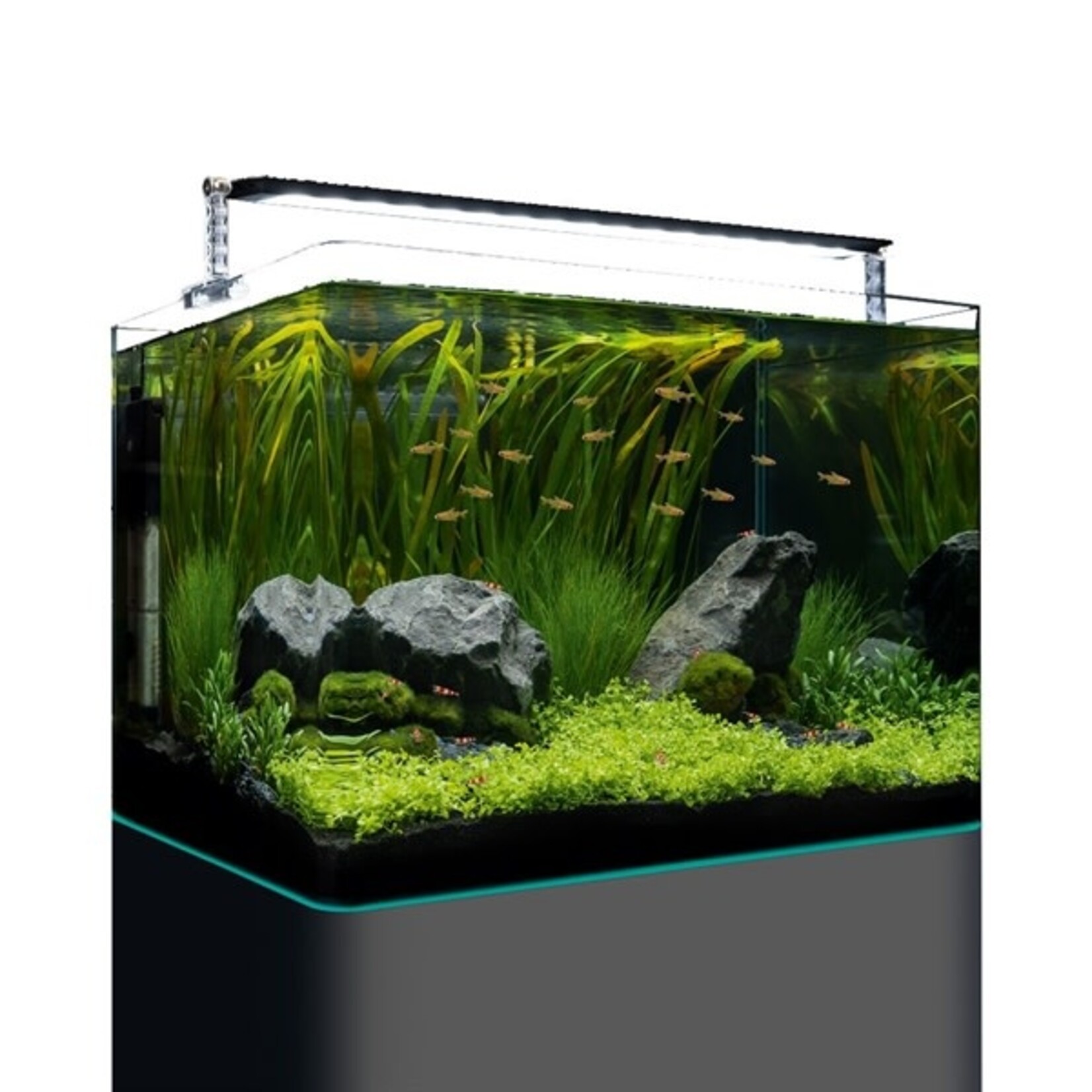 Dennerle nano tank plant pro 70 l