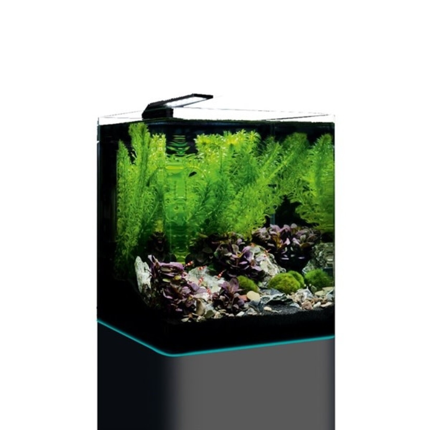 Dennerle DENNERLE NANO CUBE COMPLETE 20 L