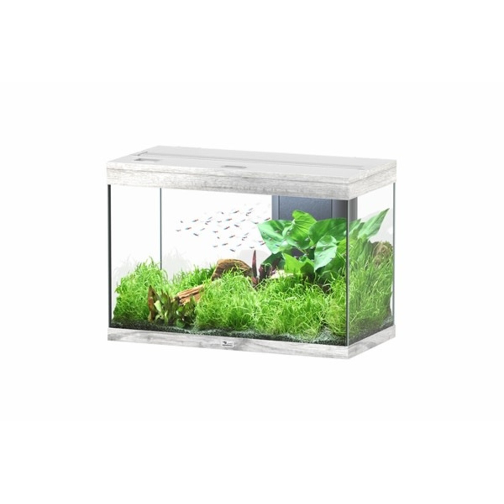 Aquatlantis Aquarium splendid 80 biobox whitewash-088