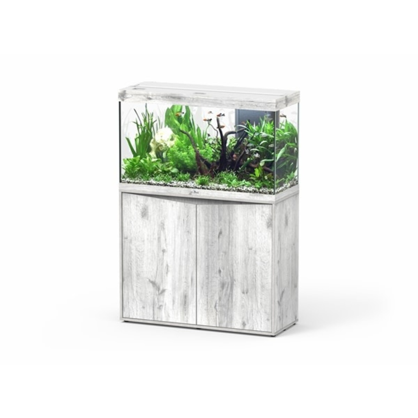 Aquatlantis Aquarium splendid 100 biobox whitewash-088