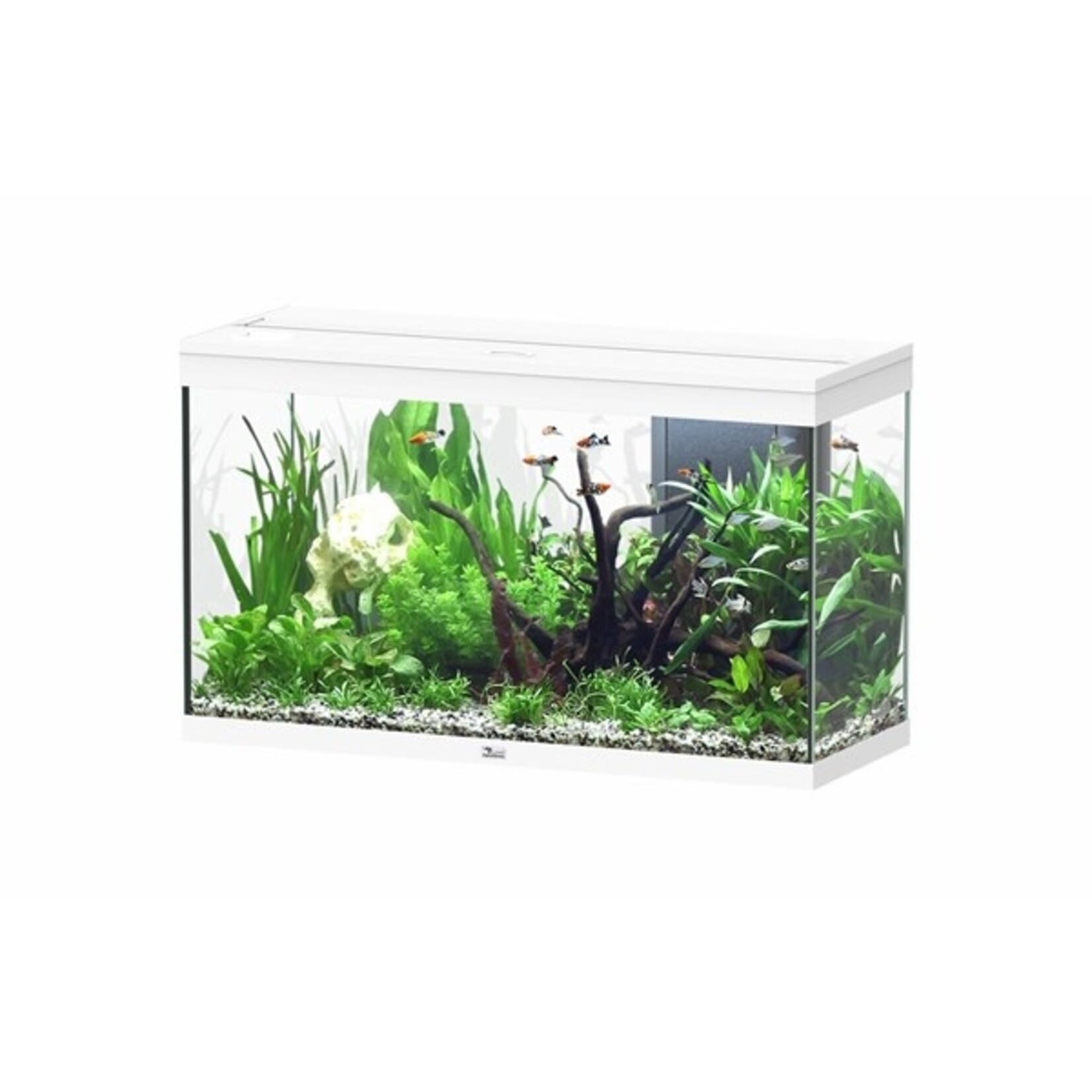 Aquatlantis Aquarium splendid 100 biobox wit-025