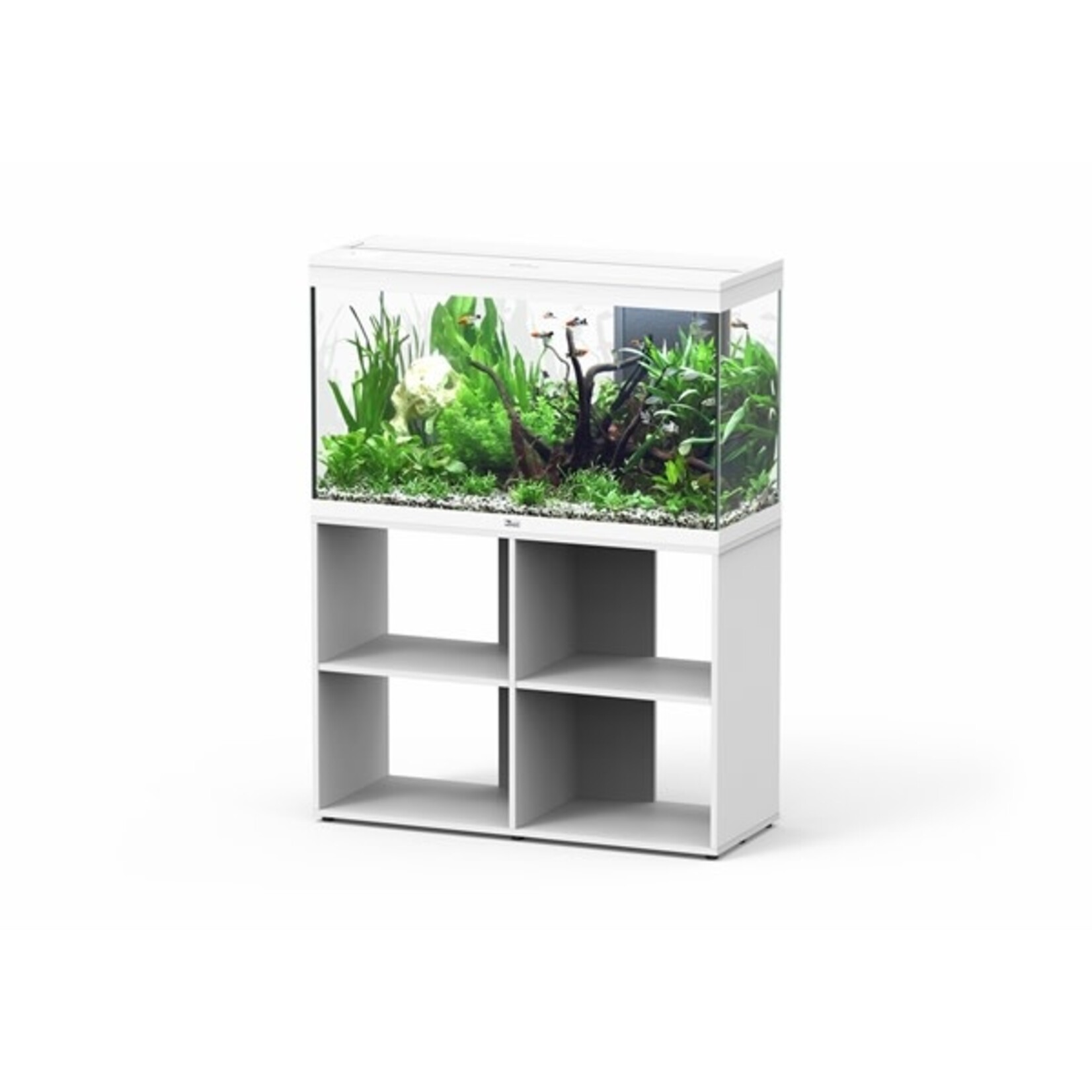 Aquatlantis Aquarium splendid 100 biobox wit-025