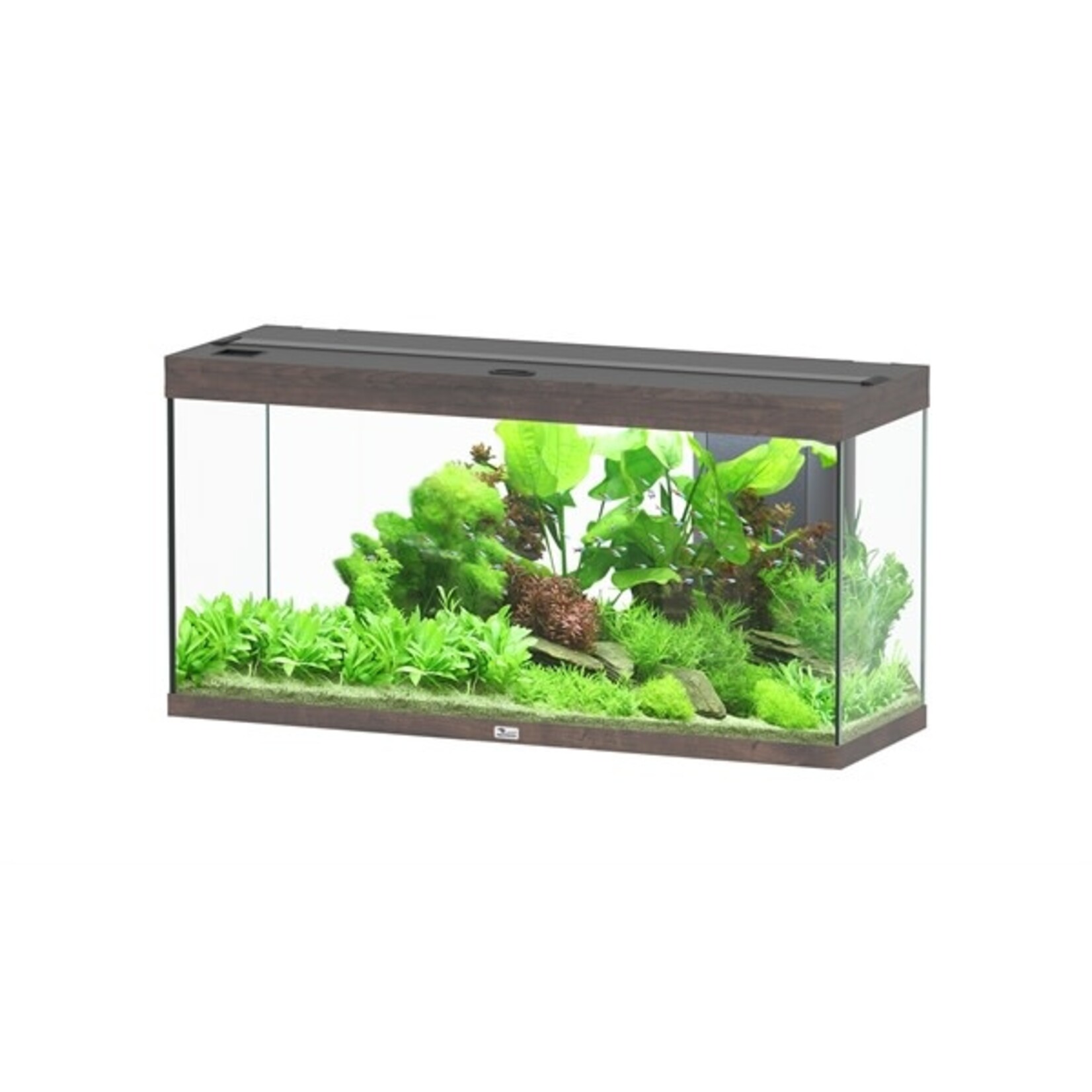 Aquatlantis Aquarium splendid 120 biobox dark wood-096