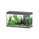 Aquatlantis Aquarium splendid 100 biobox dark wood-096
