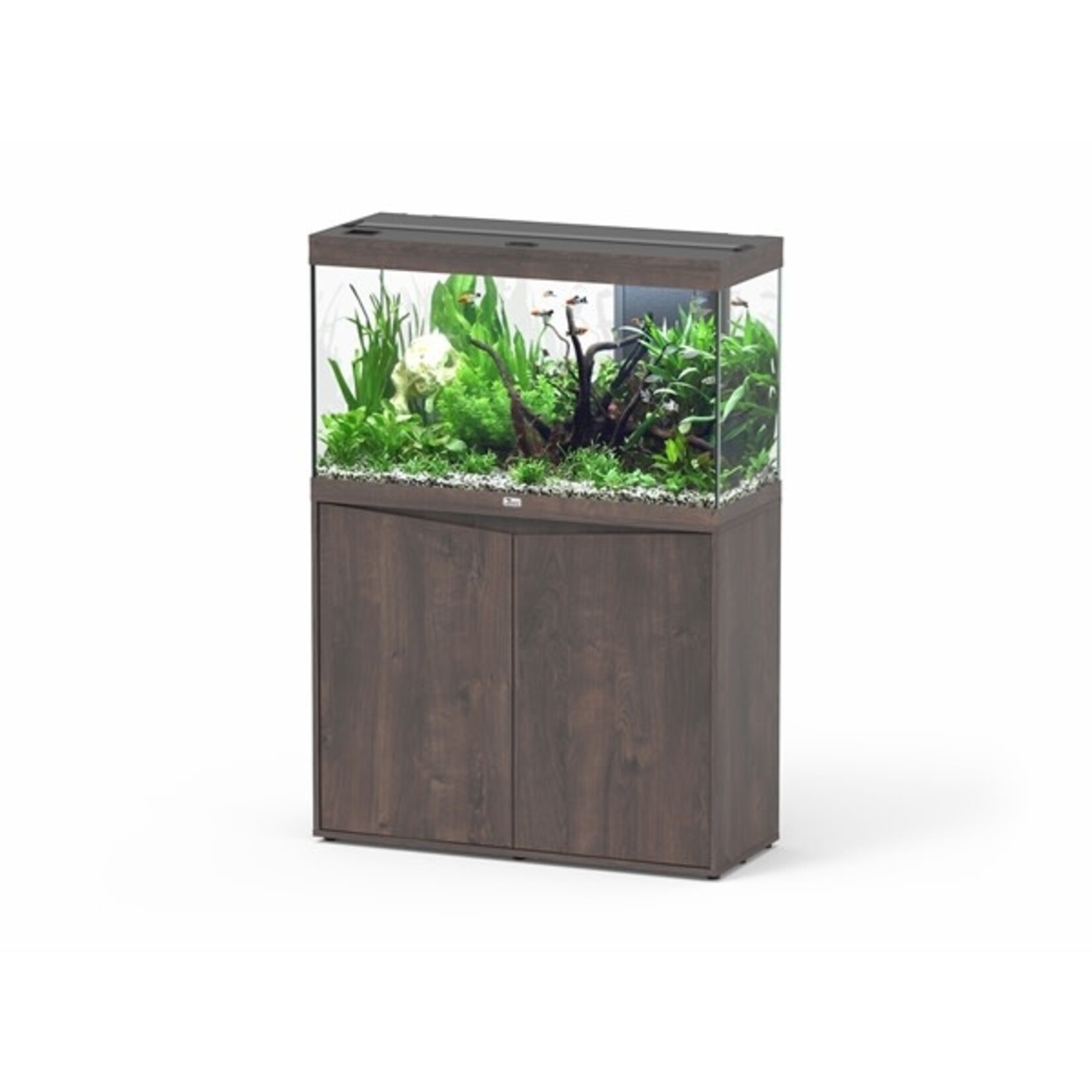 Aquatlantis Aquarium splendid 100 biobox dark wood-096