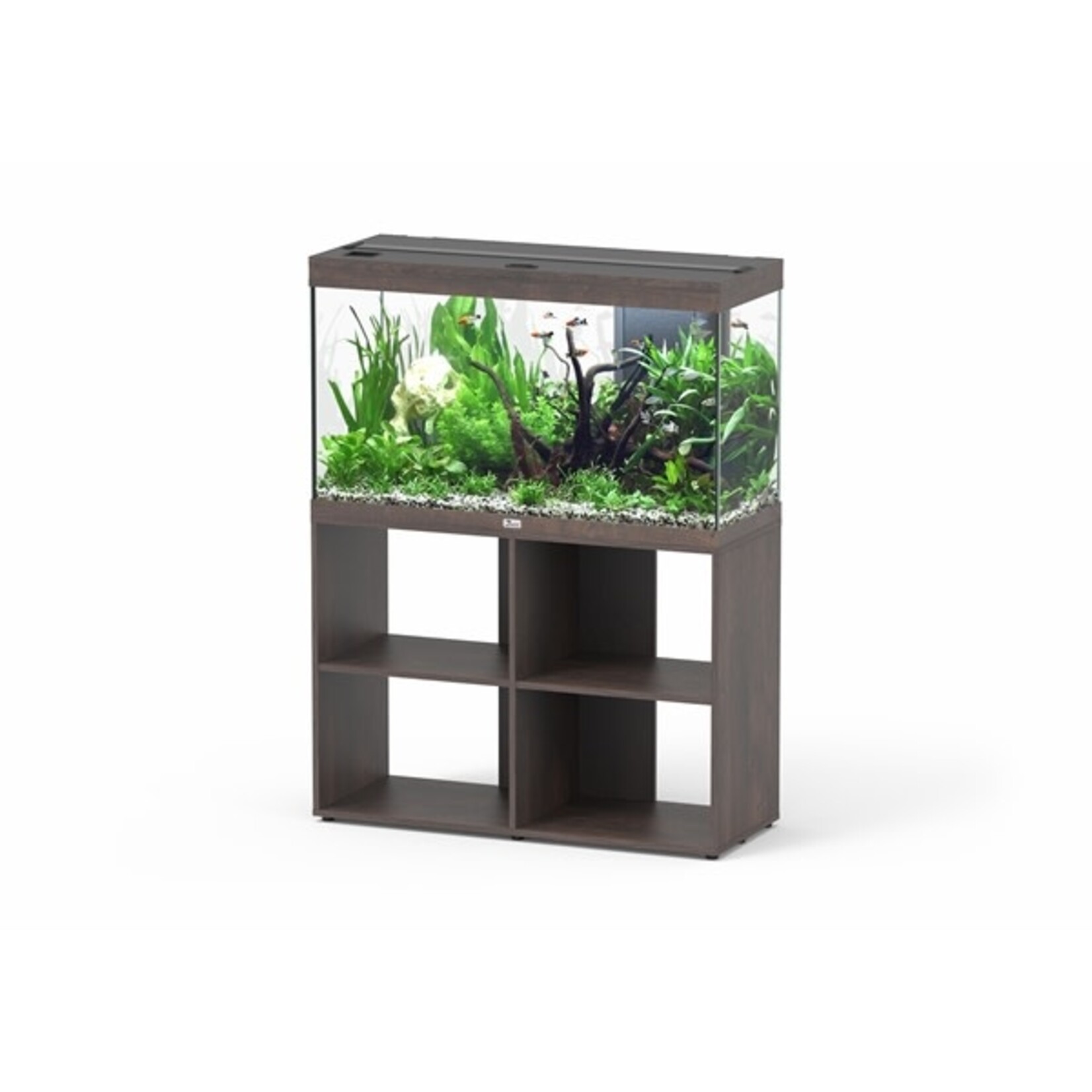 Aquatlantis Aquarium splendid 100 biobox dark wood-096