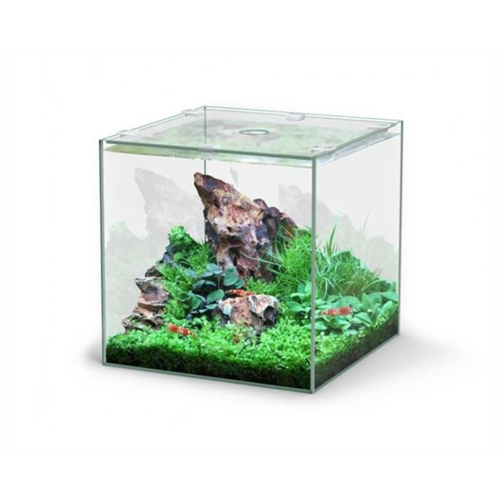 Aquatlantis Aquarium volglas kubus 10 l 22x22.6x22 cm