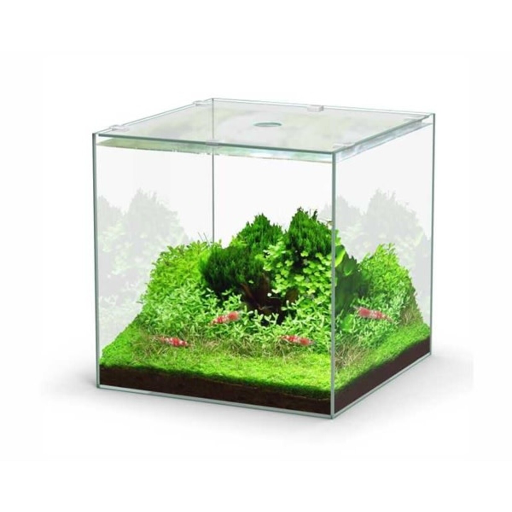 Aquatlantis Aquarium volglas kubus 22 l 29x29.8x29 cm