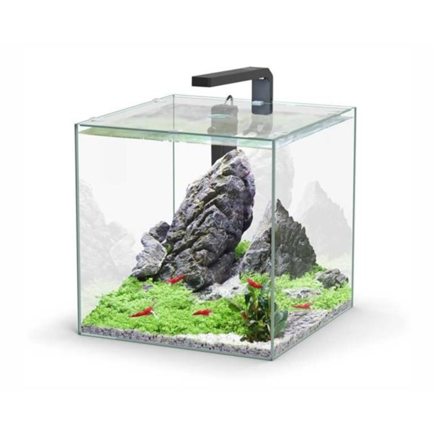 Aquatlantis Aquarium kubus 33 l 33x34x33 cm incl. led