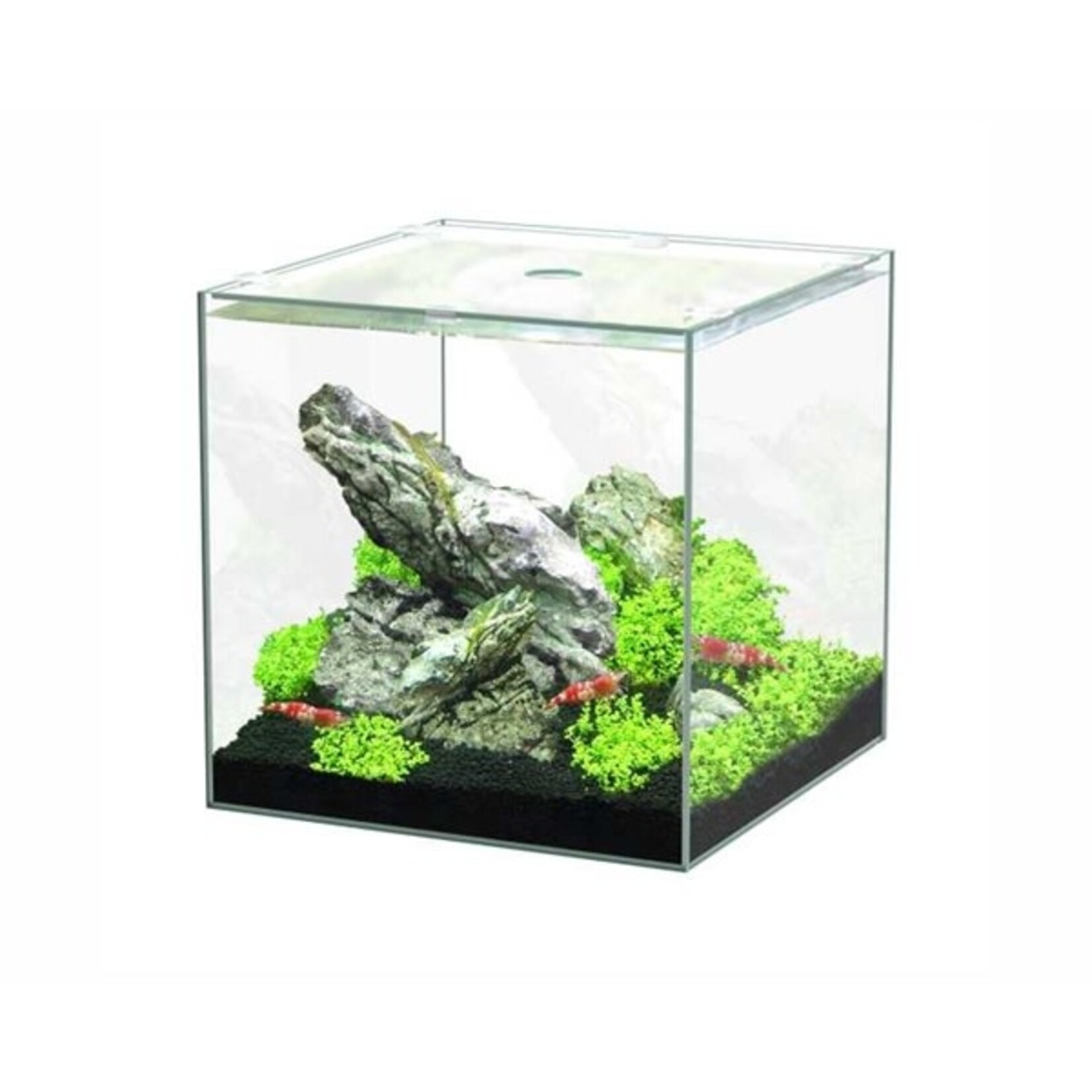 Aquatlantis Aquarium volglas kubus 15 l 25.5x26.1x25.5 cm