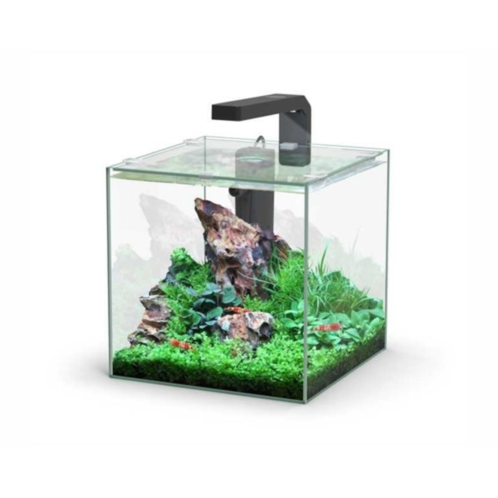 Aquatlantis Aquarium kubus 10 l 22x22.6x22 cm incl. led