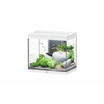 Aquatlantis Aquarium splendid 60 cleansys pro wit -025