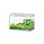 Aquatlantis Aquarium splendid 80 cleansys pro whitewash-088