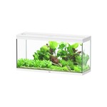 Aquatlantis Aquarium splendid 120 cleansys pro wit -025