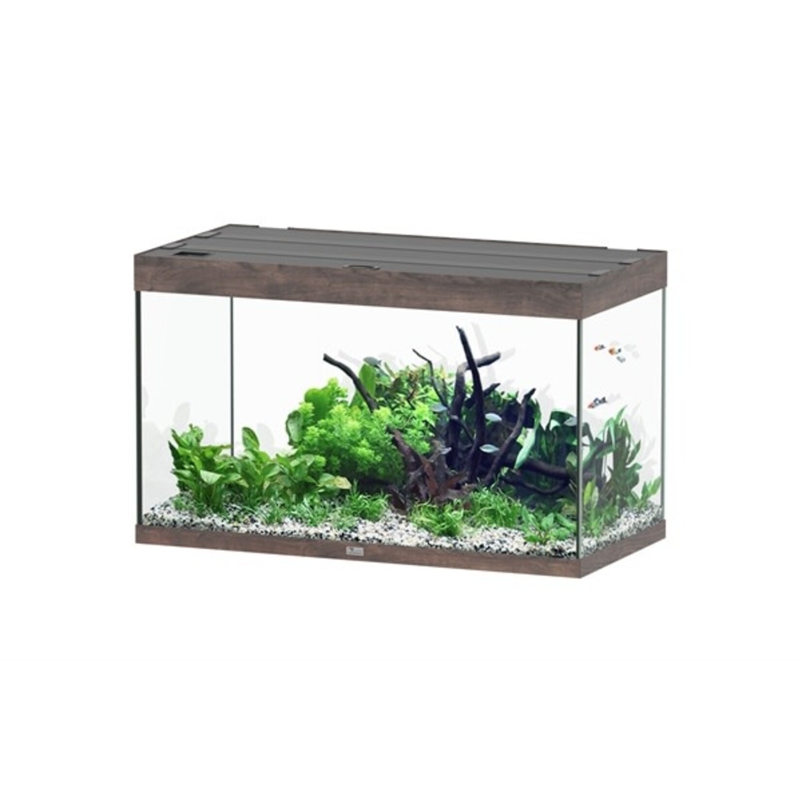 Aquatlantis Aquarium sublime 100x50 cm donkerbruin-096
