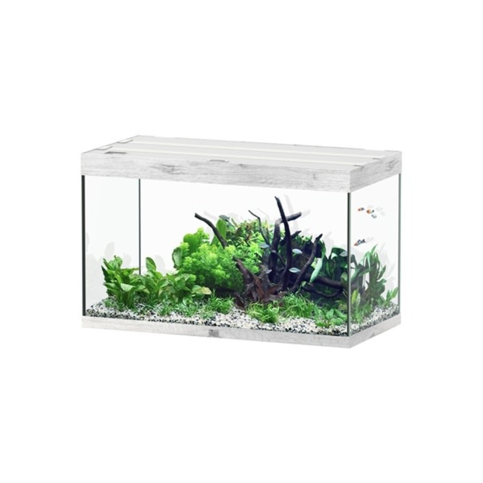Aquatlantis Aquarium sublime 100x50 cm whitewash-088