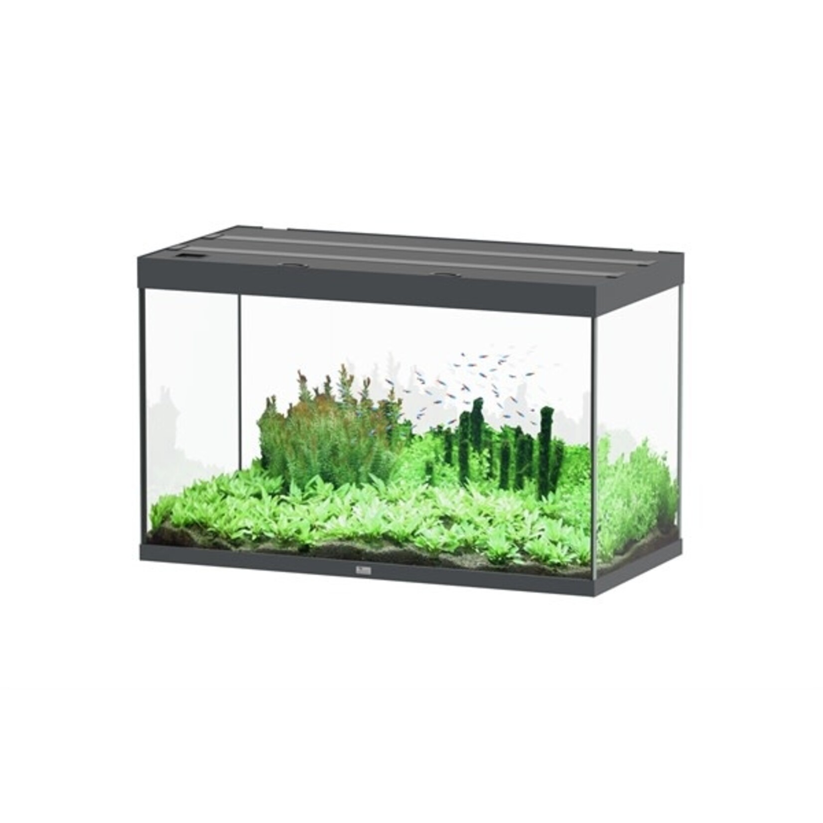 Aquatlantis Aquarium sublime 120x50 cm anthraciet hg-095