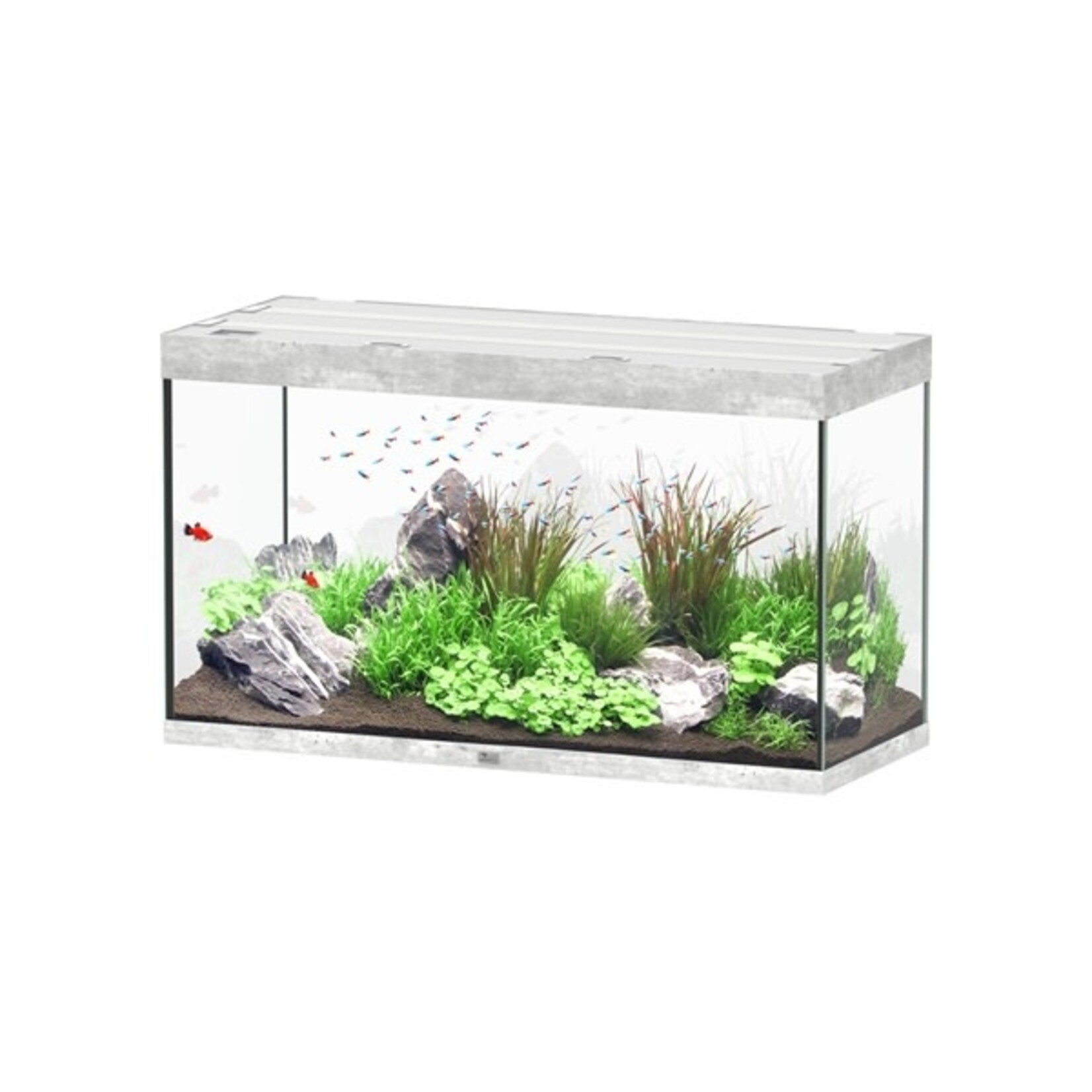 Aquatlantis Aquarium sublime 120x50 cm beton-059