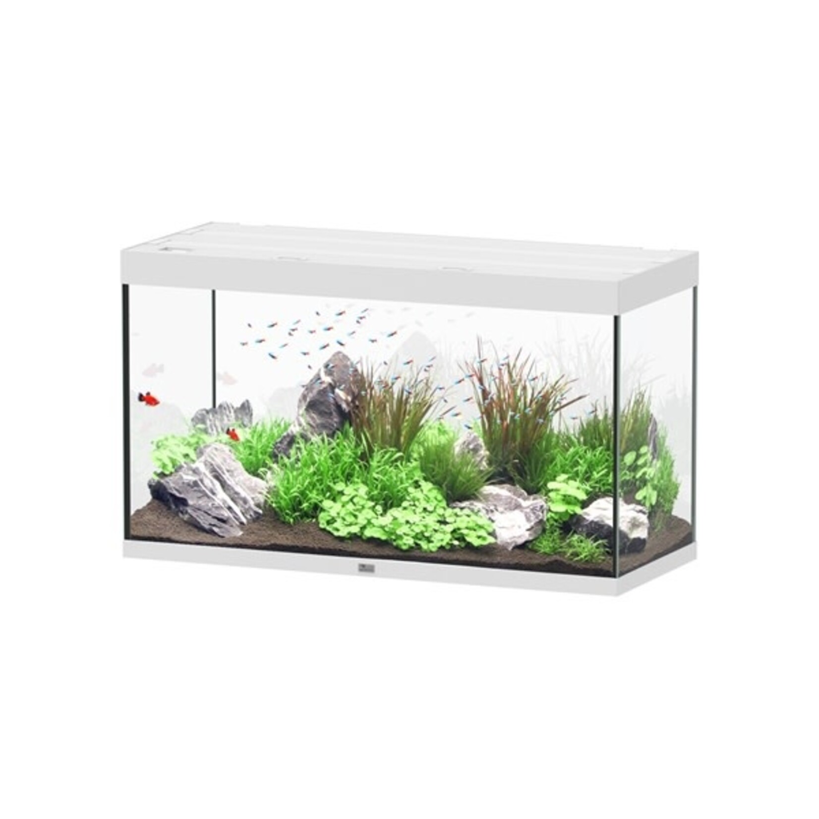 Aquatlantis Aquarium sublime 120x50 cm wit hg-064