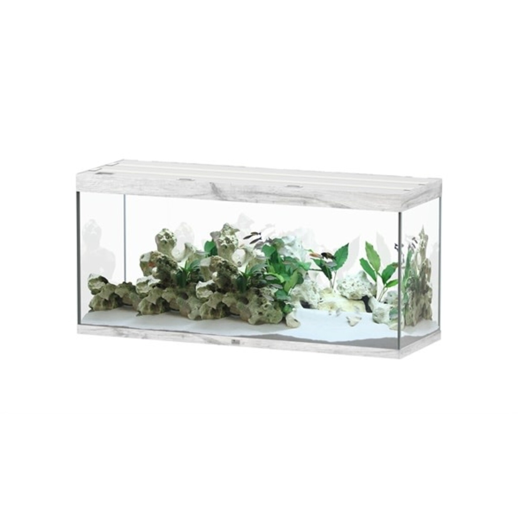 Aquatlantis Aquarium sublime 150x50 cm whitewash-088
