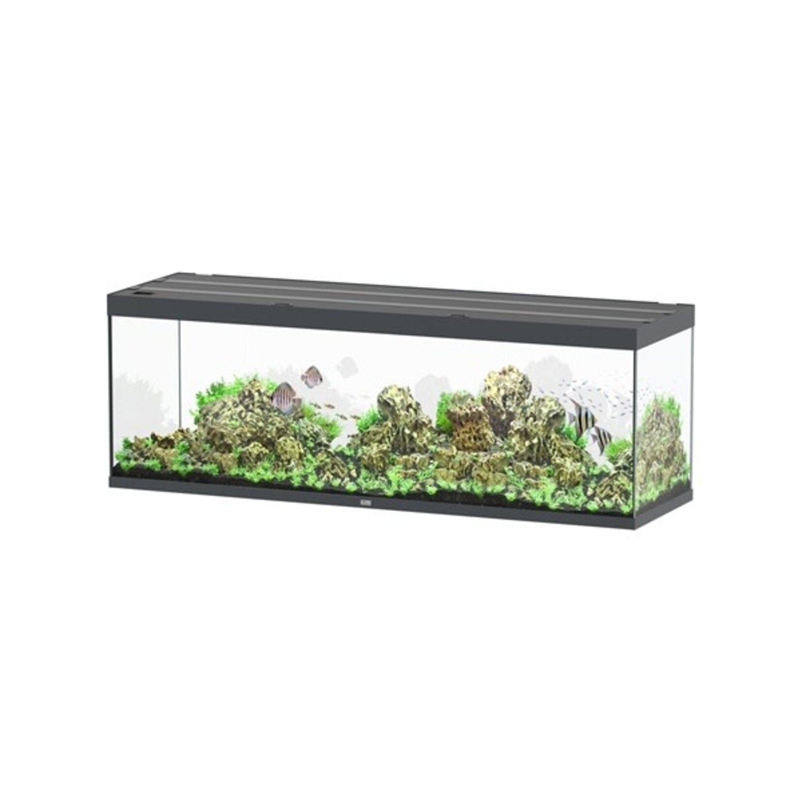 Aquatlantis Aquarium sublime 200x60 cm anthraciet hg-095
