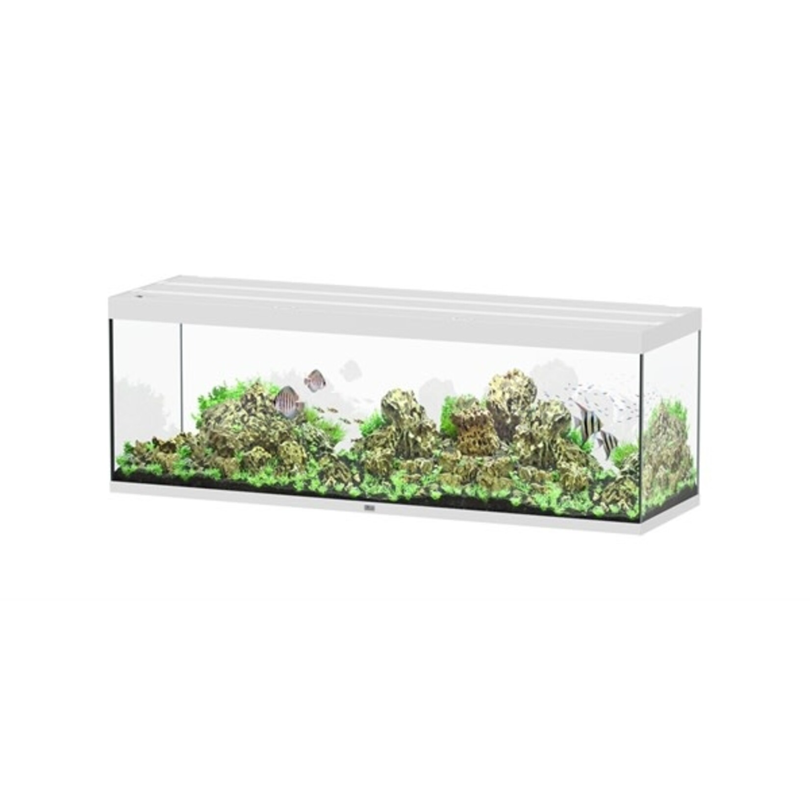 Aquatlantis Aquarium sublime 200x60 cm wit hg-064