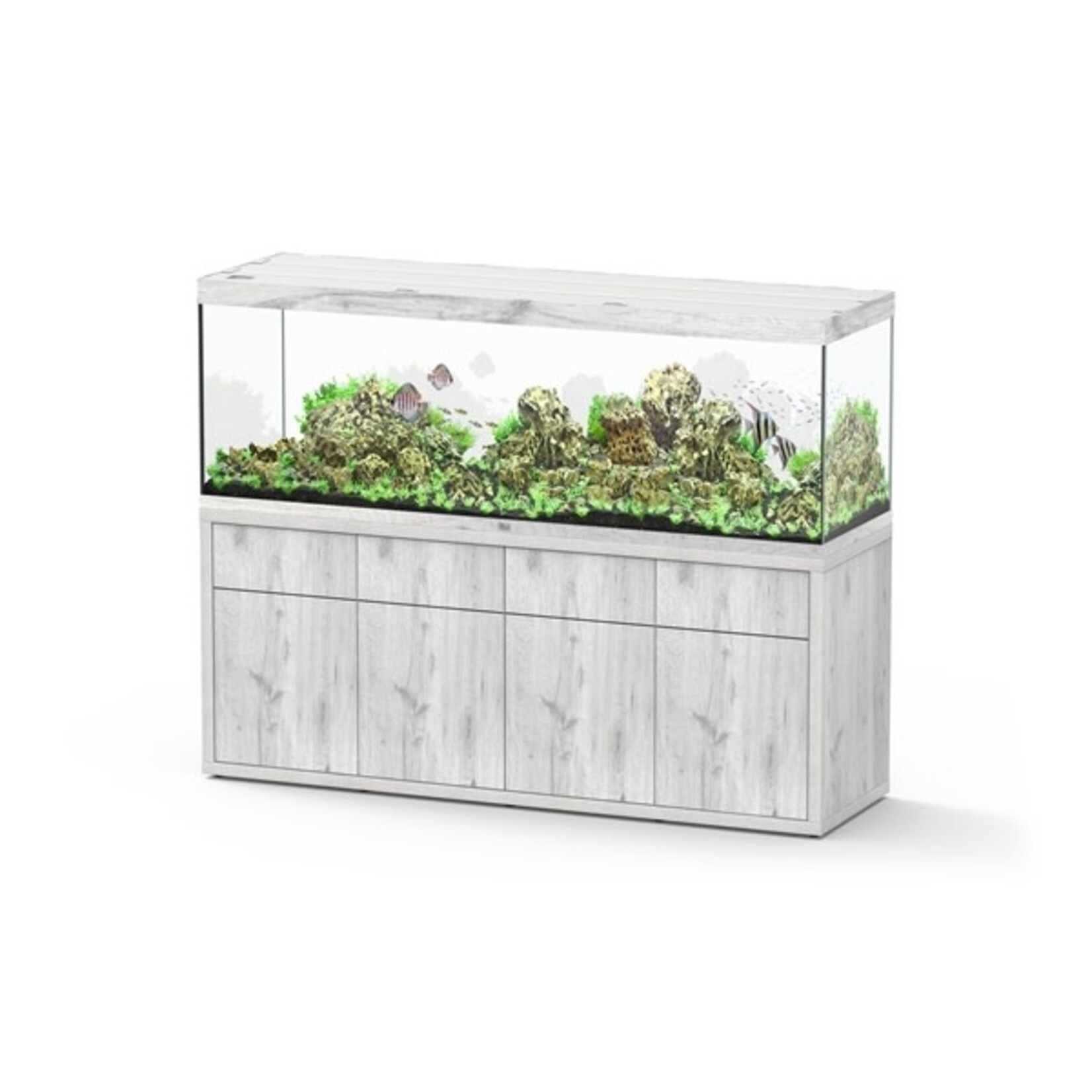 Aquatlantis Aquarium sublime 200x60 cm whitewash-088