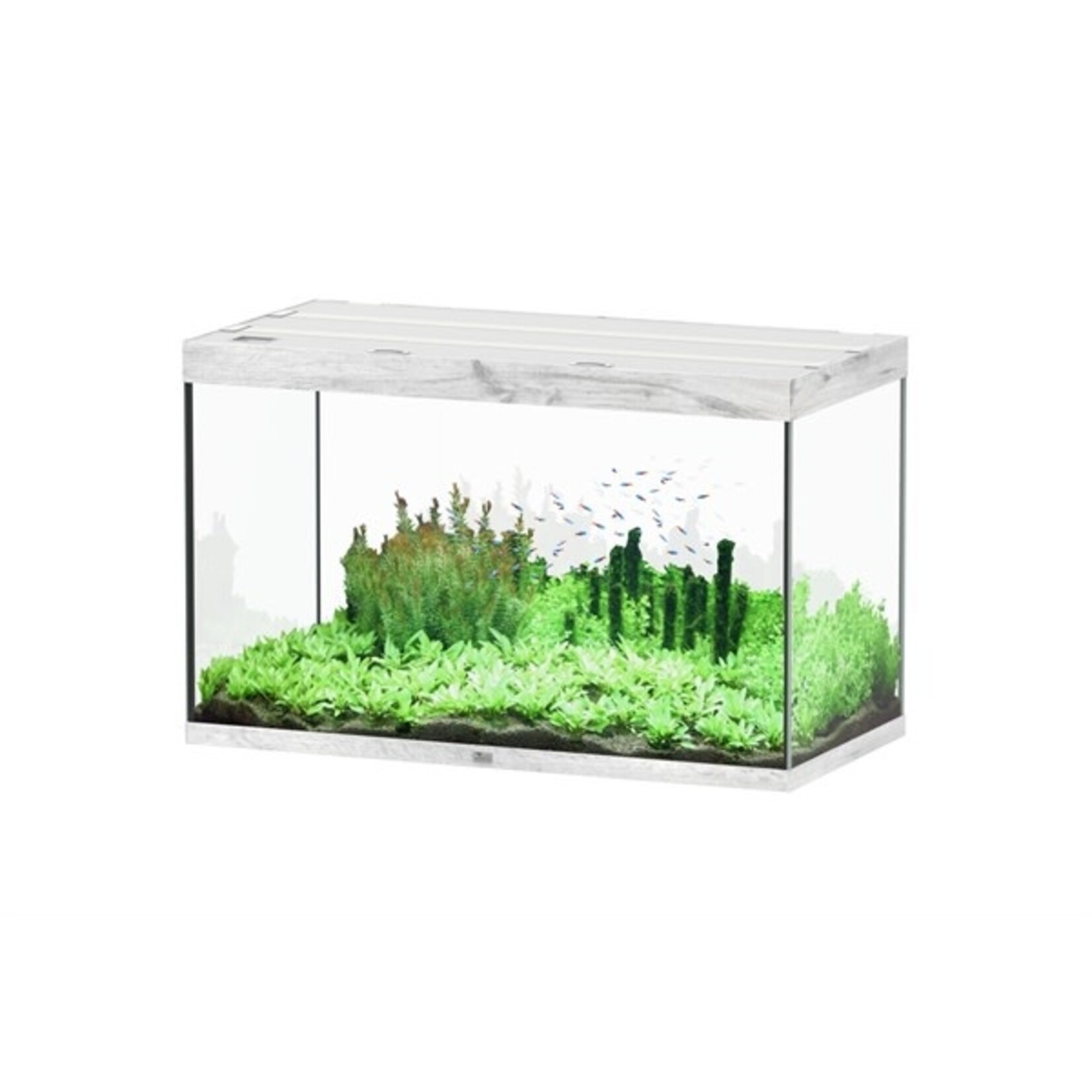 Aquatlantis Aquarium sublime 120x60 cm whitewash-088