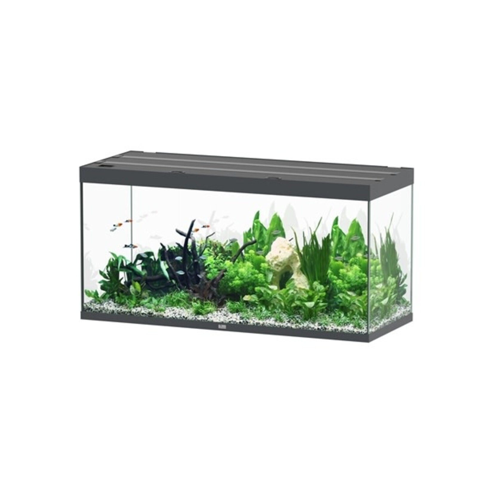 Aquatlantis Aquarium sublime 150x60 cm anthraciethg-095