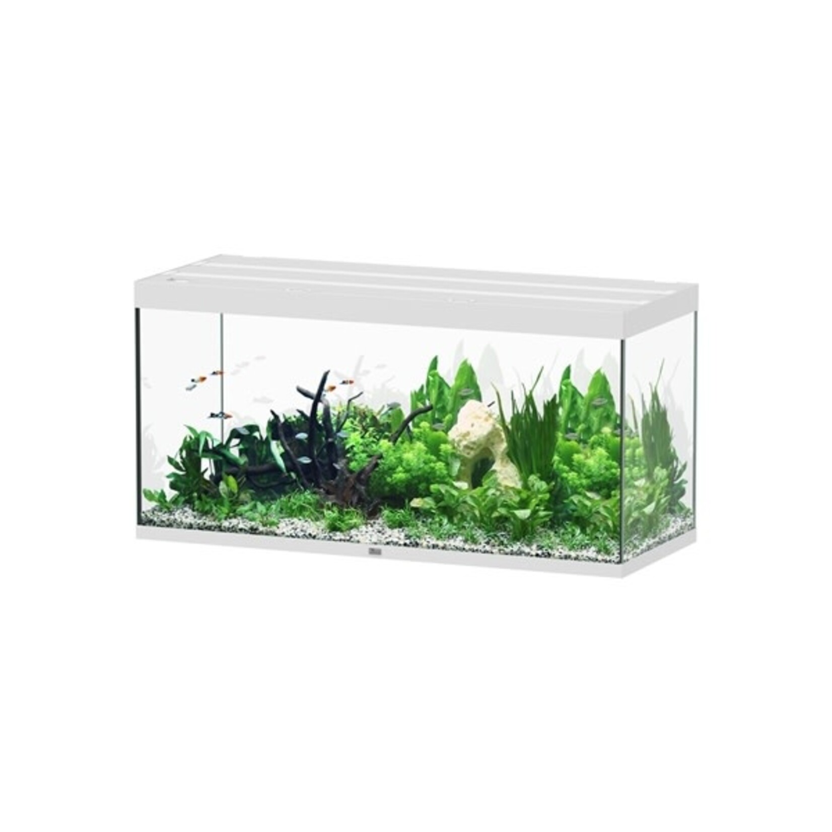 Aquatlantis Aquarium sublime 150x60 cm wit hg-064