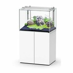 Aquascape Set