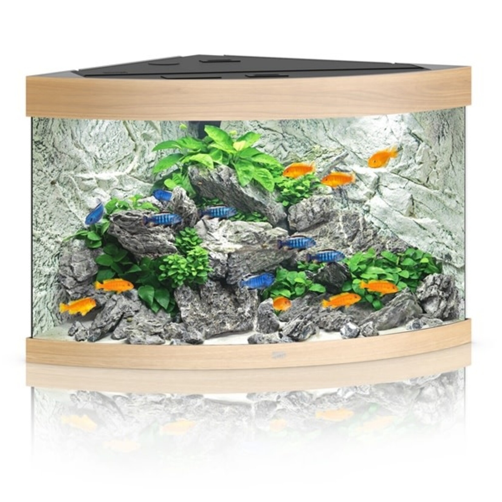 Juwel Aquarium trigon 190 licht noten led