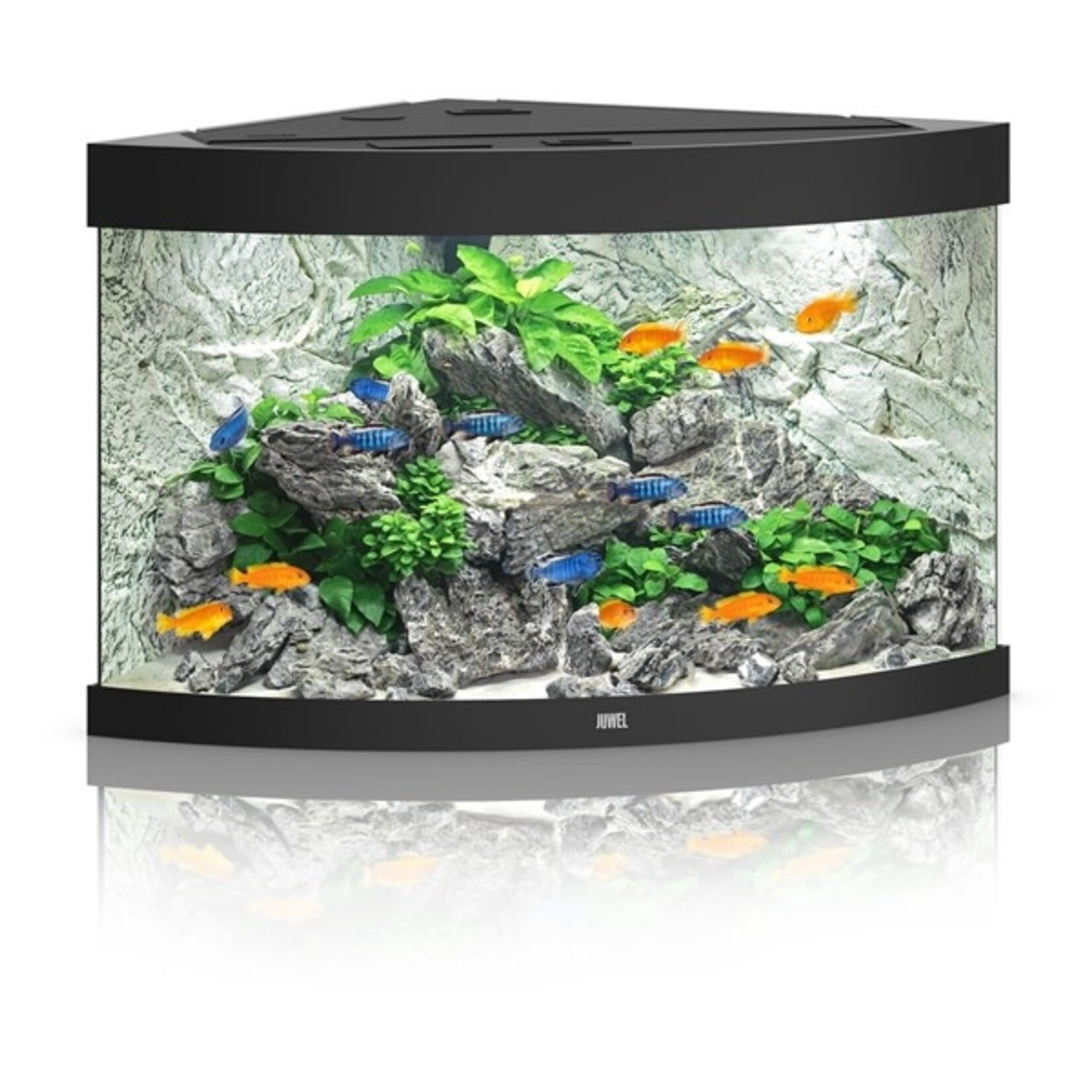 Juwel Aquarium trigon 190 zwart led