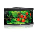 Juwel Aquarium trigon 350 zwart led