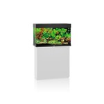 Juwel Aquarium rio 125 zwart led