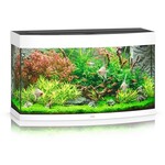 Juwel Aquarium vision 180 wit led