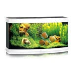 Juwel Aquarium vision 260 wit led