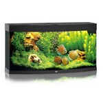 Juwel Aquarium vision 260 zwart led