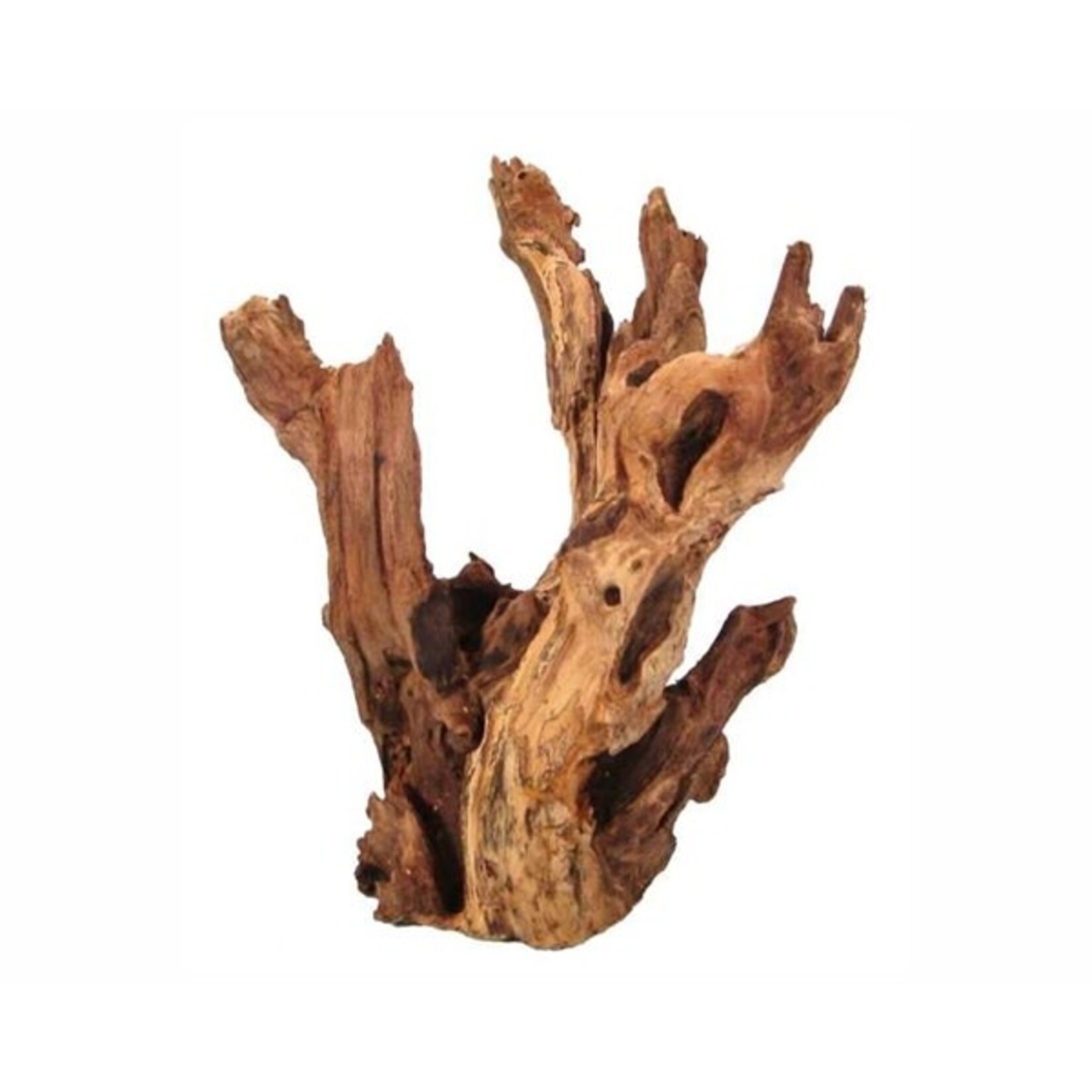 HS Aqua Kayika wood s 20-25 cm