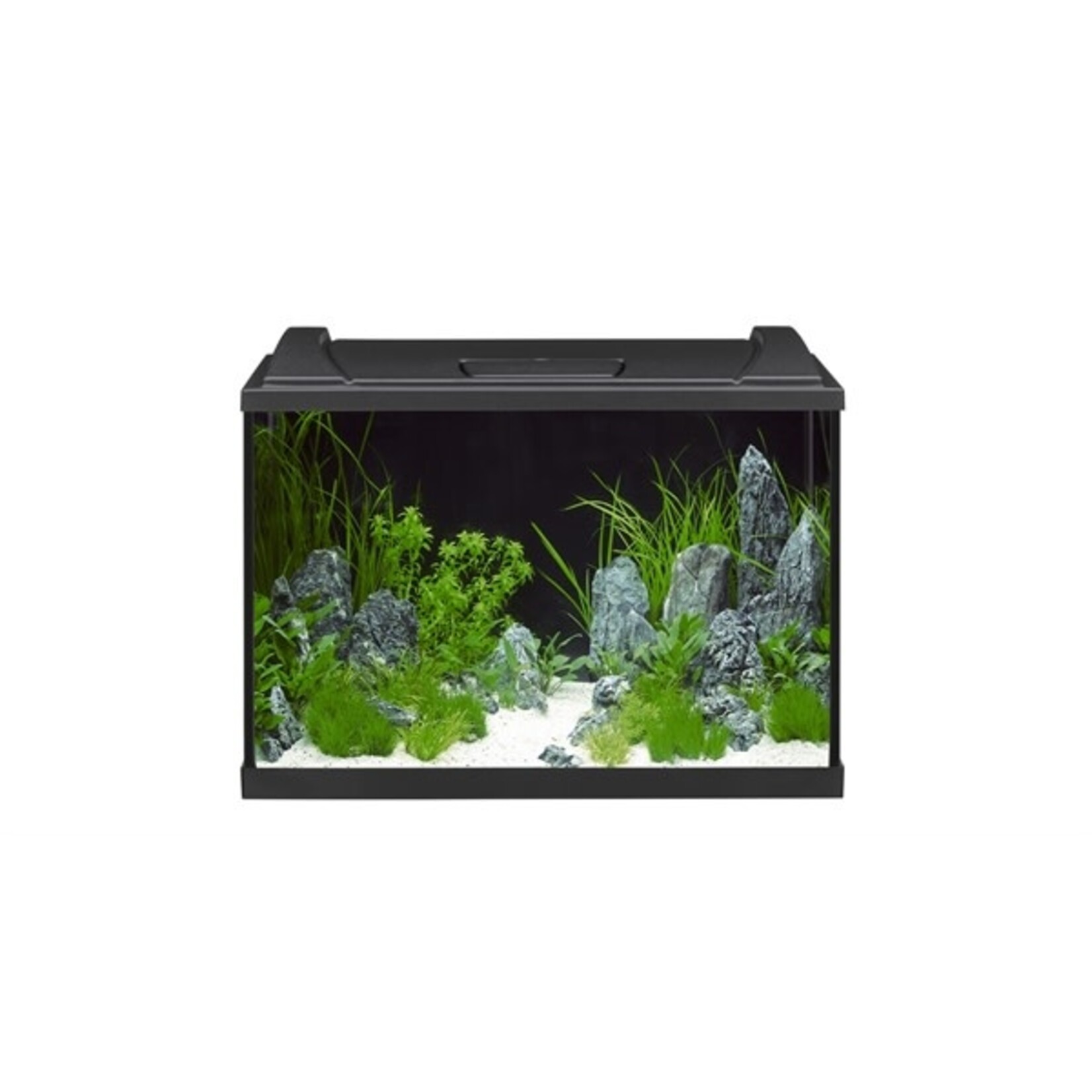 Eheim aquarium aquaproLED 84 zwart 60x35x40 cm 1x12w