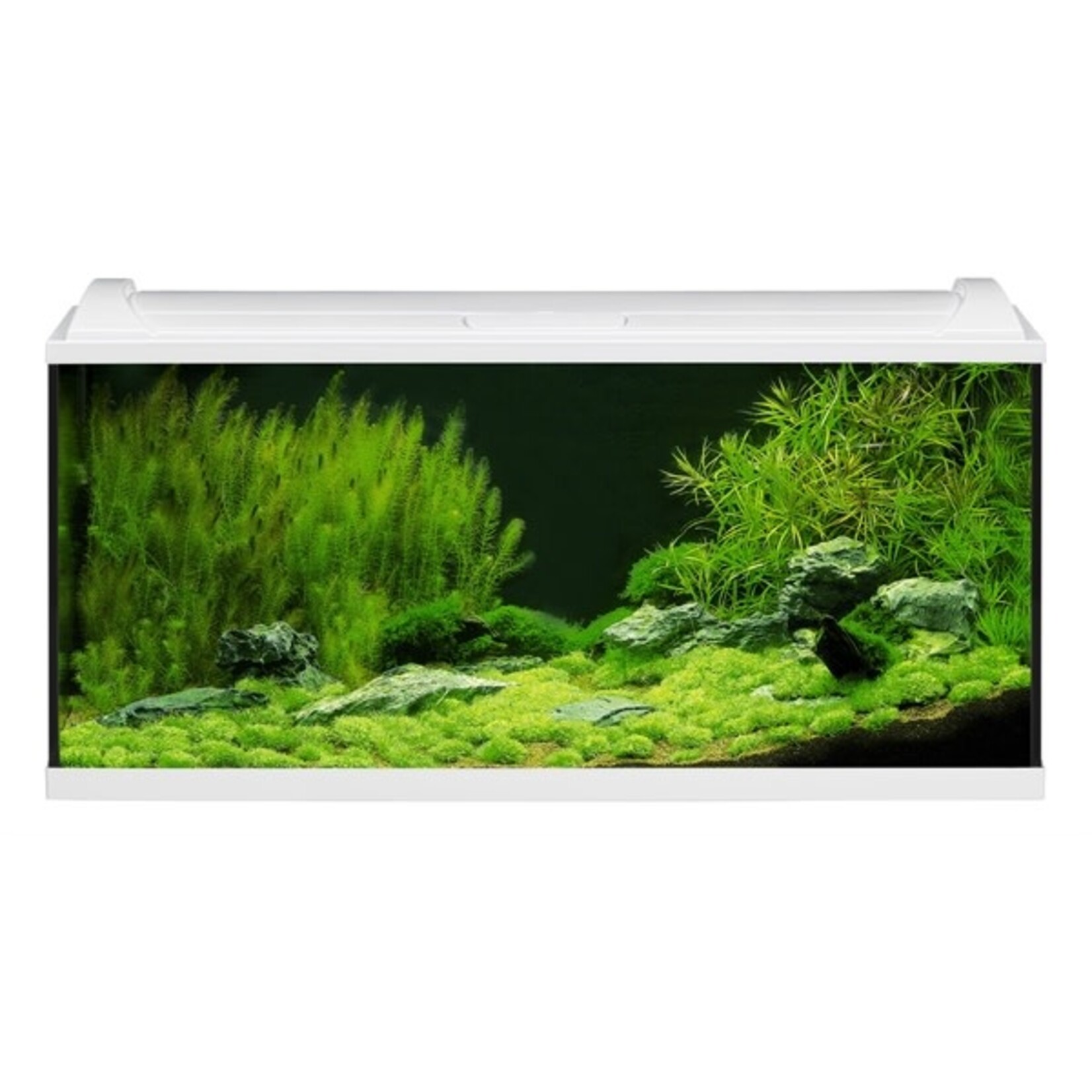 Eheim aquarium aquaproLED 180 wit 100x40x45 cm 1x17w