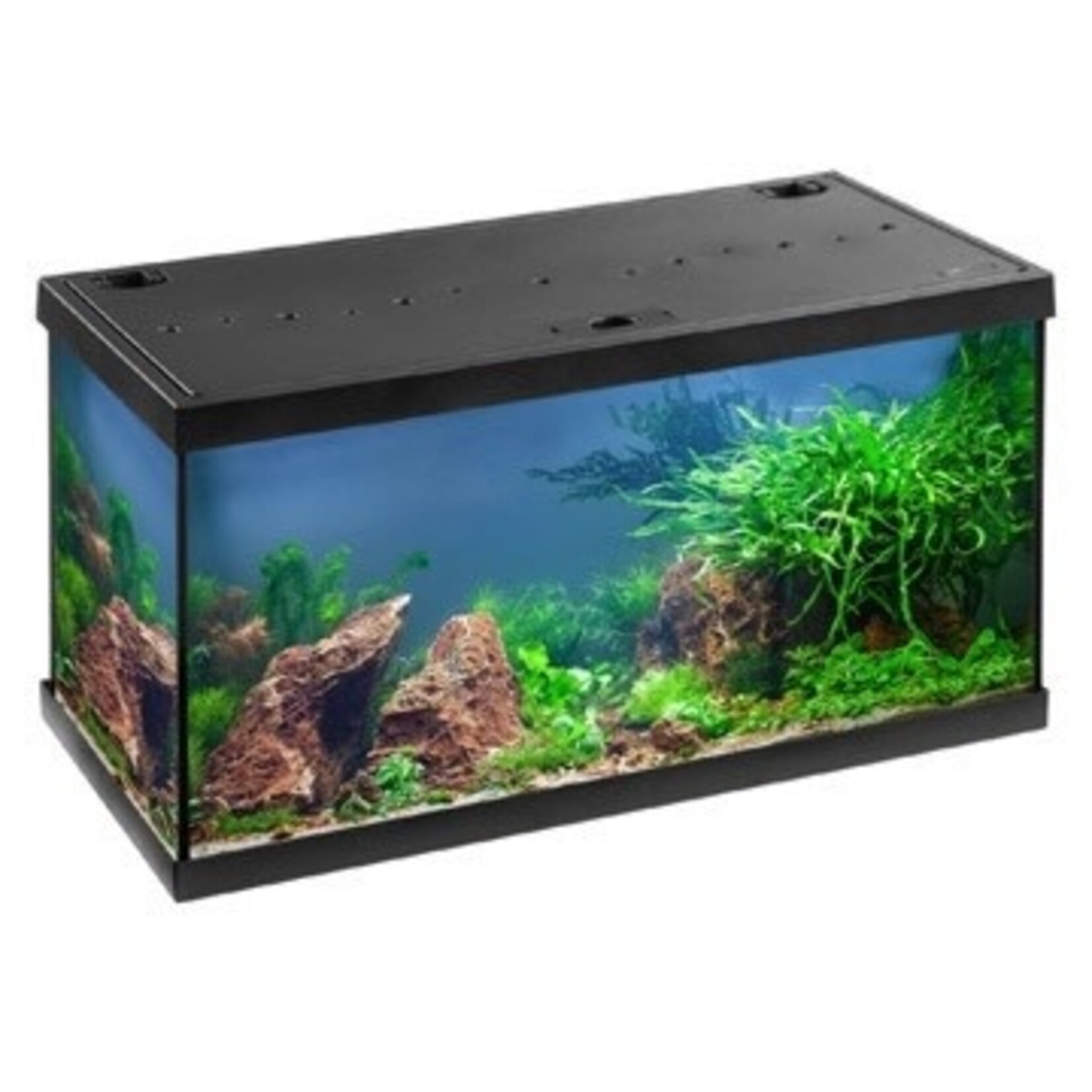 Eheim aquarium aquastar 54 zwart 60x30x36 cm led