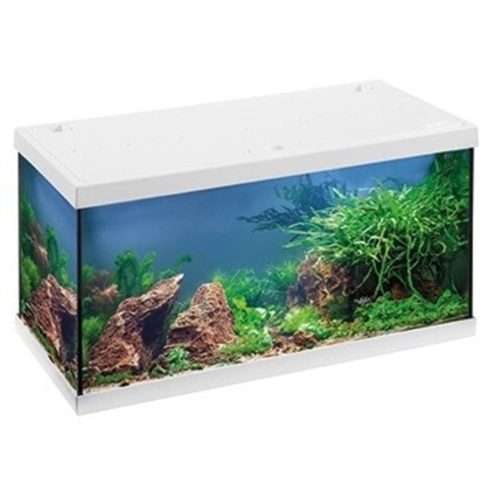 Eheim aquarium aquastar 54 wit 60x30x36 cm led