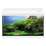 Eheim EHEIM AQUARIUM AQUAGLASS 66 WIT 60.7X31X35 CM