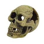 Skully 9 cm