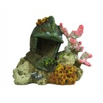 BLUE BELLE PACIFIC CORAL WITH HELMET 14 CM